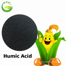 Humic Acid Fertilizer in China Market